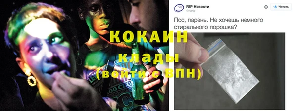 крисы Абаза
