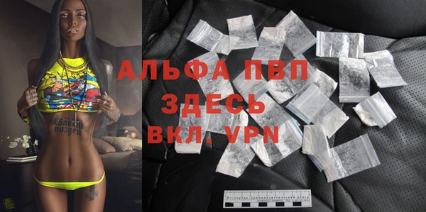 крисы Абаза