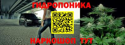 кокс Краснодар