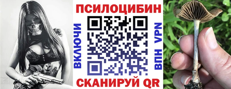 наркота  Елизово  Галлюциногенные грибы мицелий 
